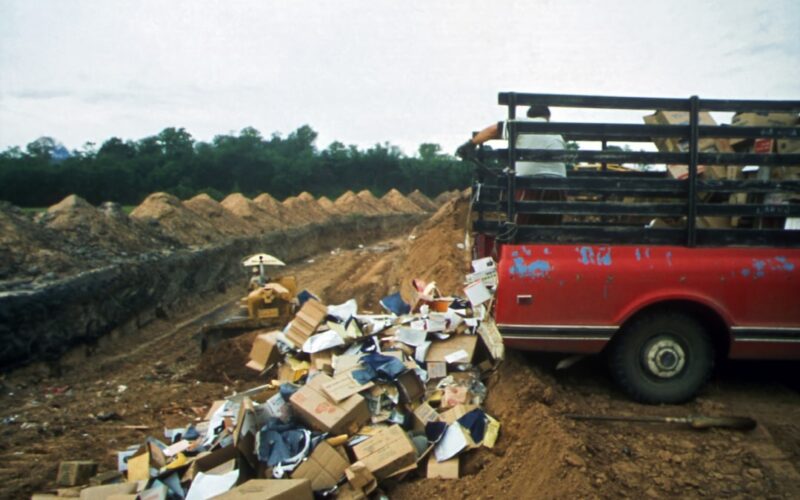 Garden Waste Laws: What You Can and Cannot Burn in the UK