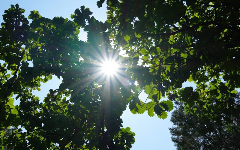 Community Solar Schemes: Sharing Renewable Energy in UK Villages
