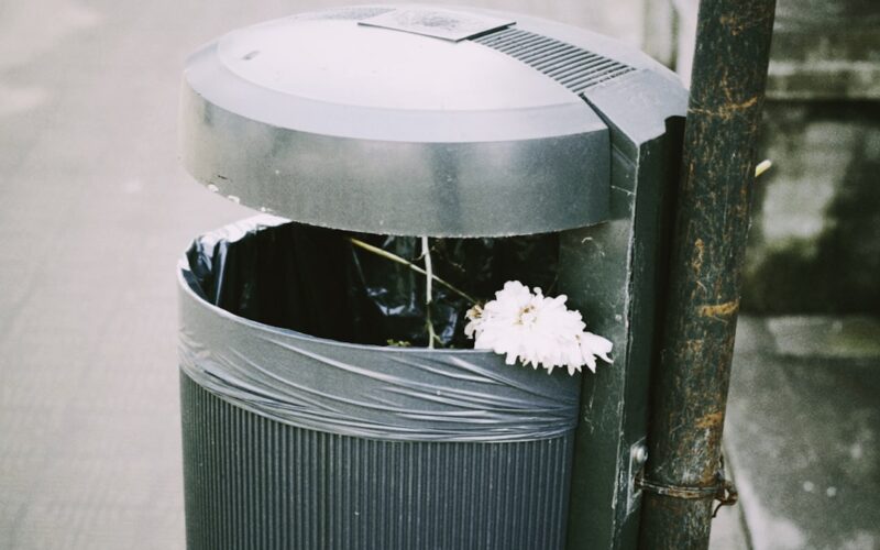 Garden Waste Collection vs Private Clearance: Cost Analysis for UK Households