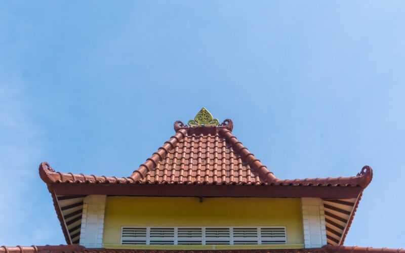 Green Roof Installation: Benefits and Costs for UK Homeowners