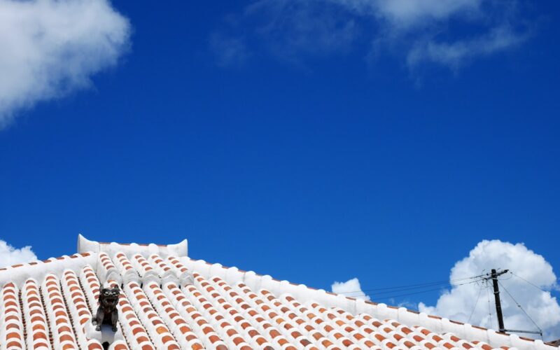Green Roof Systems: Benefits for UK Urban Properties