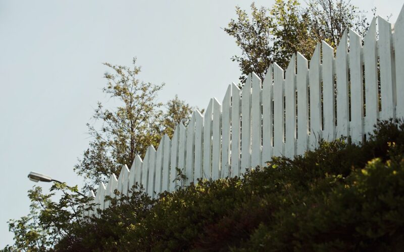 Garden Fence Height Regulations: What UK Homeowners Must Know