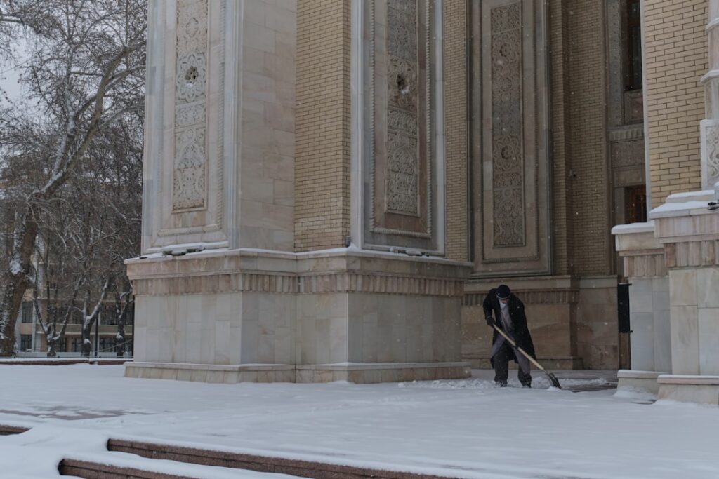 Ash Dieback Disease: Emergency Felling Near UK Railways