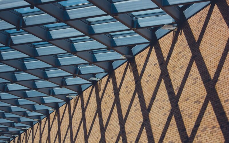 Solar Panel Bird Proofing: Protecting Your Investment