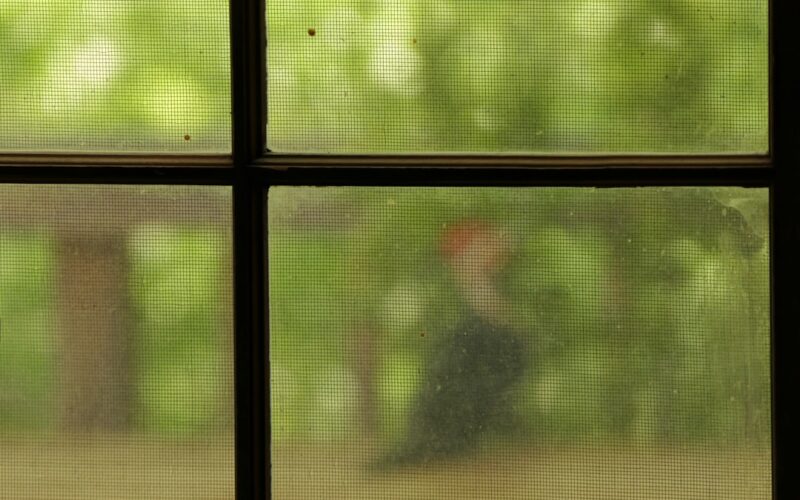 Conservatory Window Cleaning: Accessing Difficult Roof Panels