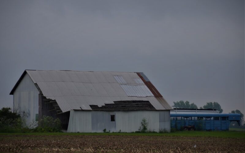 Test: Solar Panel Efficiency in UK Winter 1761731208