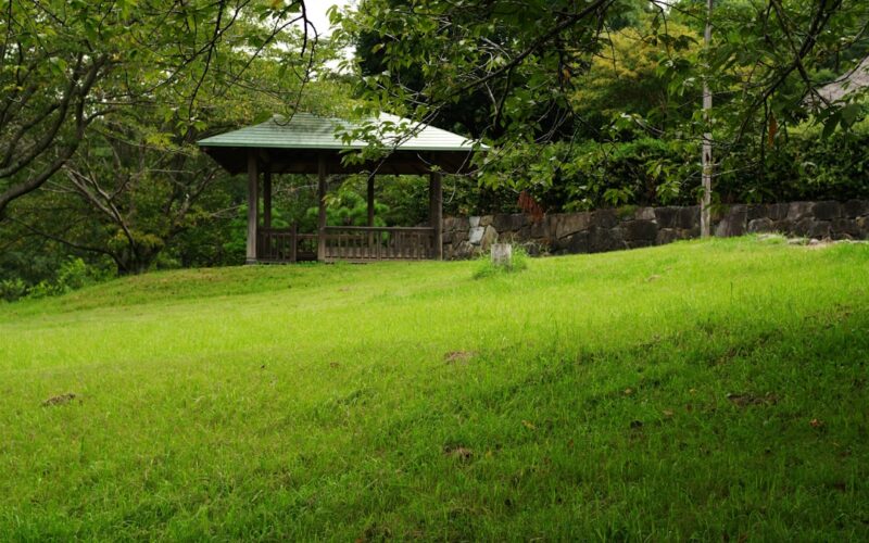 Drought-Resistant Gardens: Native Plants for UK Climate Extremes