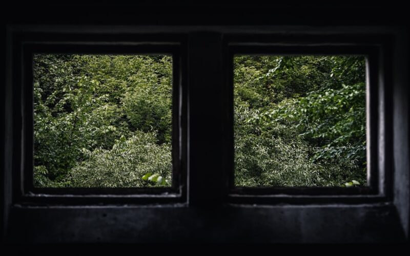 Georgian Sash Window Restoration: Draught Proofing Methods