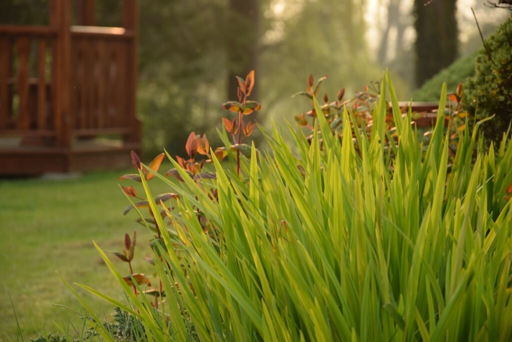 Japanese Garden Design: Creating Zen Spaces in British Gardens