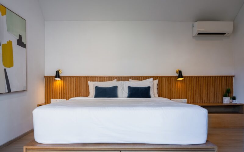 Lime Render Application: Period Property External Walls