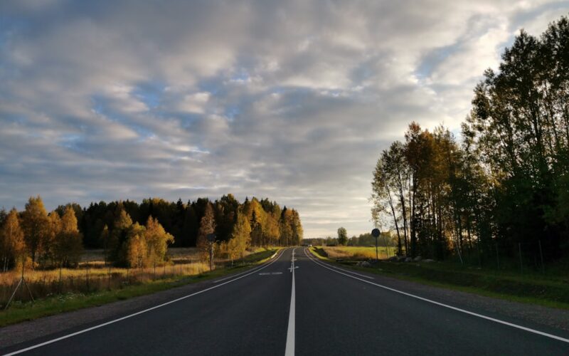 Permeable Paving: SuDS Compliance for UK Driveways