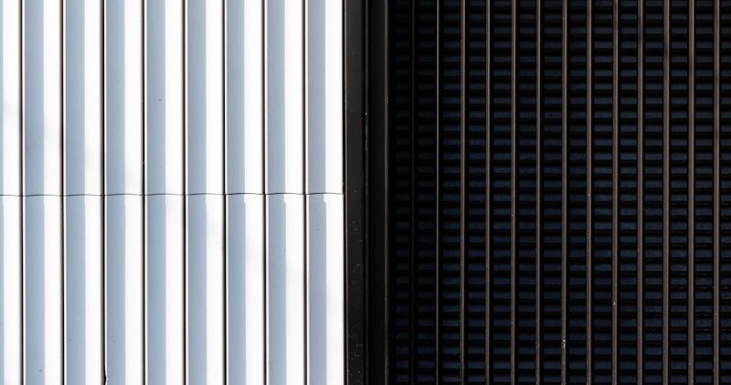 Solar Panel Bird Proofing: Protecting UK Rooftop Investments