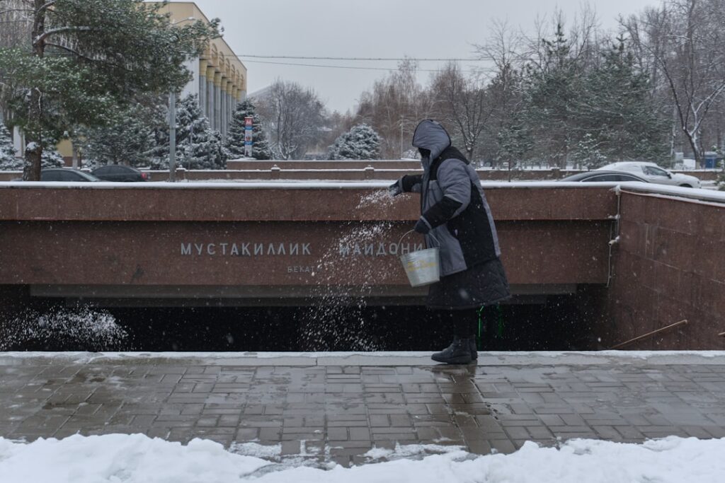 TPO Applications: Navigating Council Tree Protection Orders