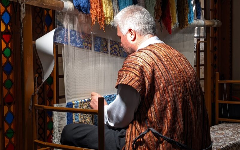 Wool Carpet Moth Damage: Professional Treatment Methods