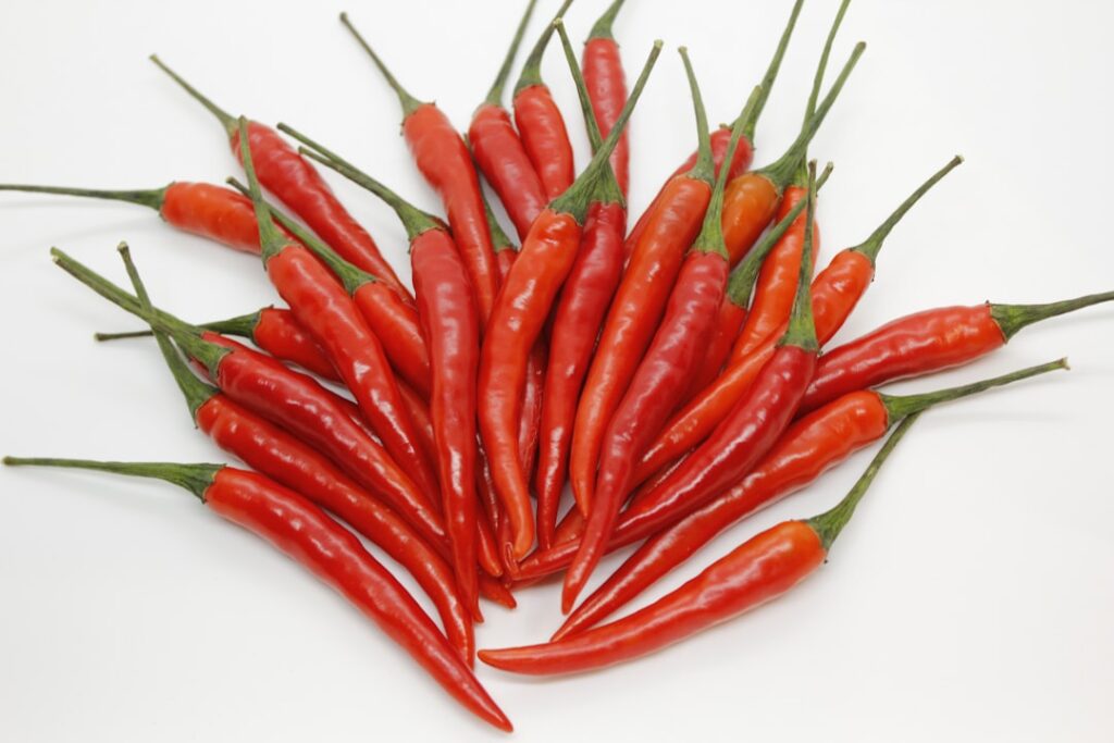 Cluster Fly Hibernation: Autumn Loft Treatment Strategies