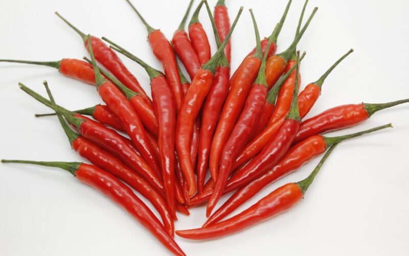 Cluster Fly Hibernation: Autumn Loft Treatment Strategies