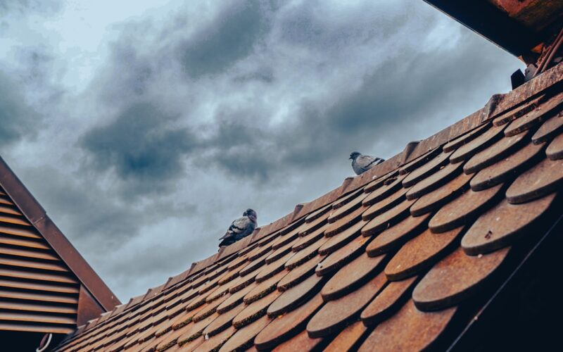 Fibreglass Flat Roof Systems: 25-Year Guarantee Options