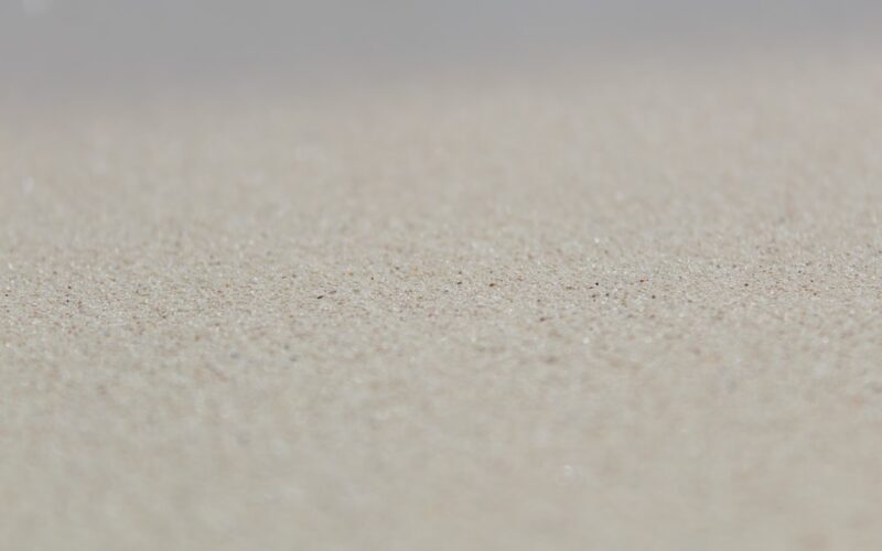 Persian Rug Moth Treatment in British Heritage Homes