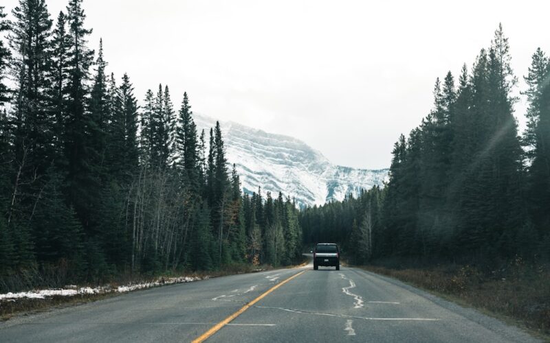 Resin Bound Surfaces: SUDS Compliance for New Builds