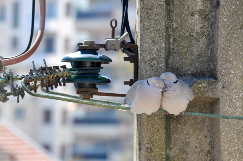 Underfloor Heating Manifold Troubleshooting Guide