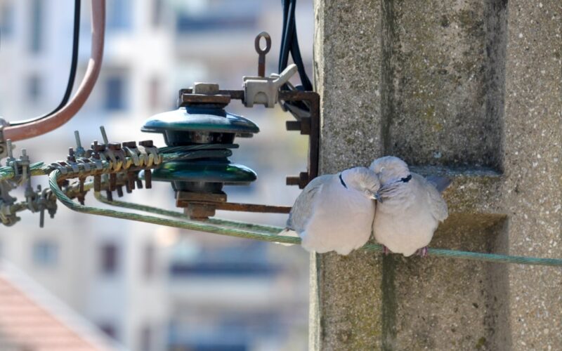 Underfloor Heating Manifold Troubleshooting Guide