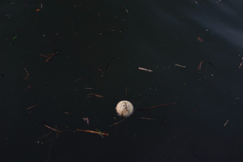 Probate House Clearance Services in Greater Manchester