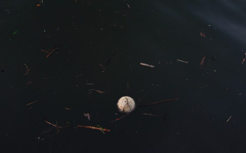 Probate House Clearance Services in Greater Manchester