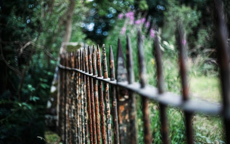 Anti-Deer Fencing for New Forest Boundary Gardens