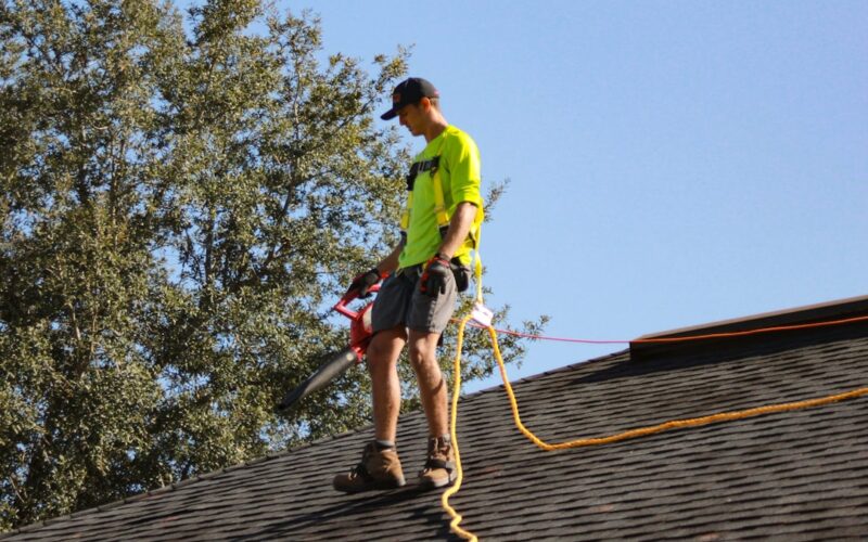 Solar Battery Systems for Off-Grid Welsh Farmhouses
