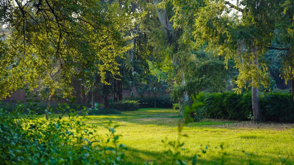 Wildflower Meadow Creation on Former Brownfield Sites