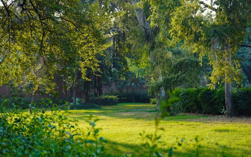 Wildflower Meadow Creation on Former Brownfield Sites