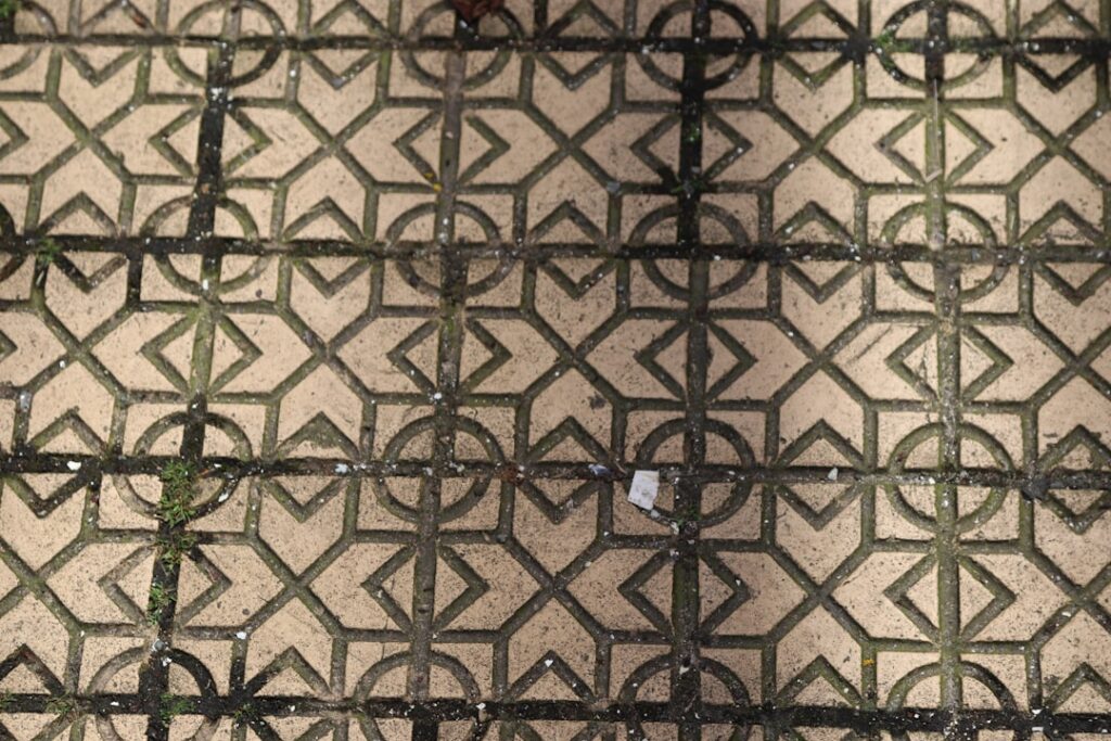 Wool Carpet Moth Treatment in Georgian Townhouses