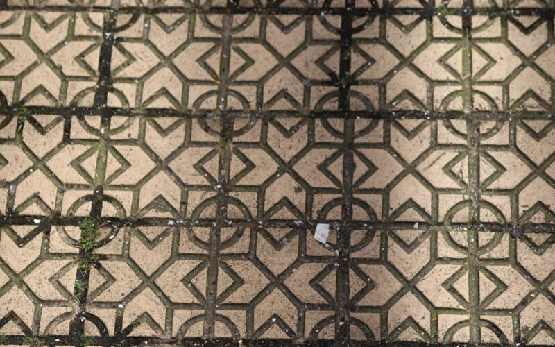 Wool Carpet Moth Treatment in Georgian Townhouses