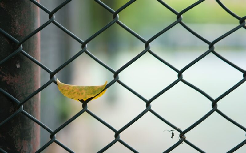 Composite Fencing Wind Resistance in UK Storm Zones