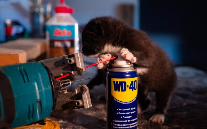 Poly Pipe Replacement Under Concrete Floor Slabs