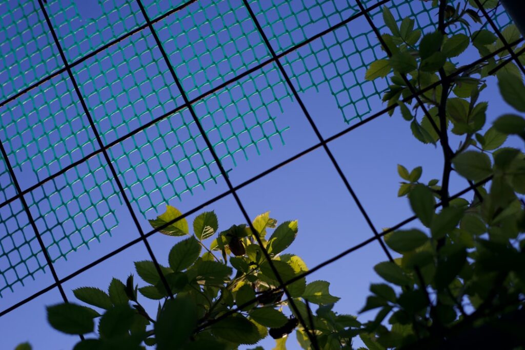 Solar Canopy Installation Over Garden Office Spaces