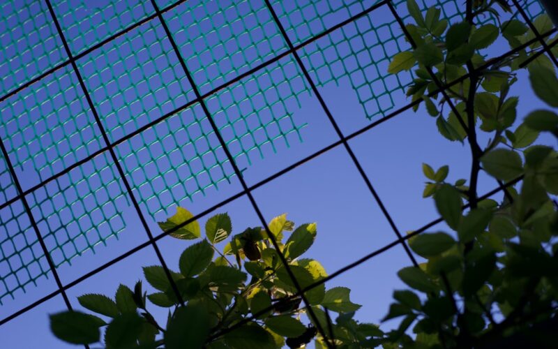 Solar Canopy Installation Over Garden Office Spaces