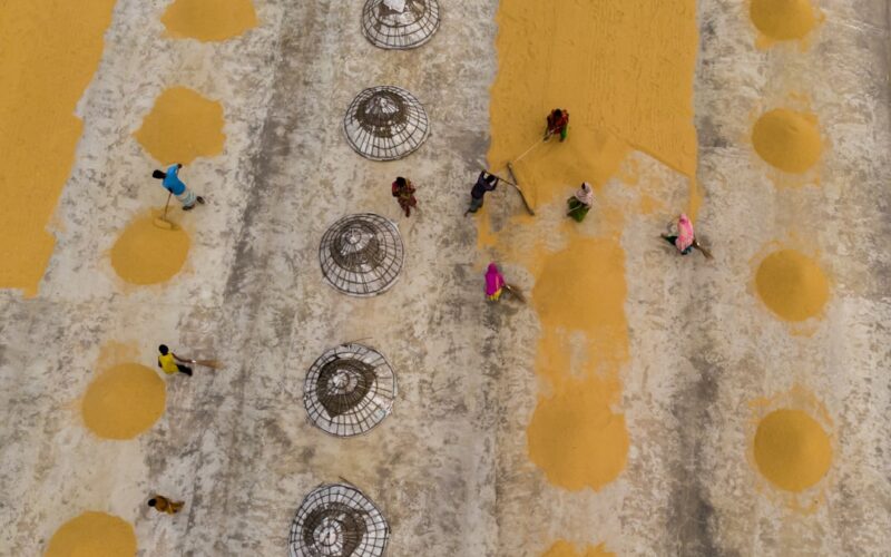Steam Cleaning Victorian Tile Hallways: Restoration Methods