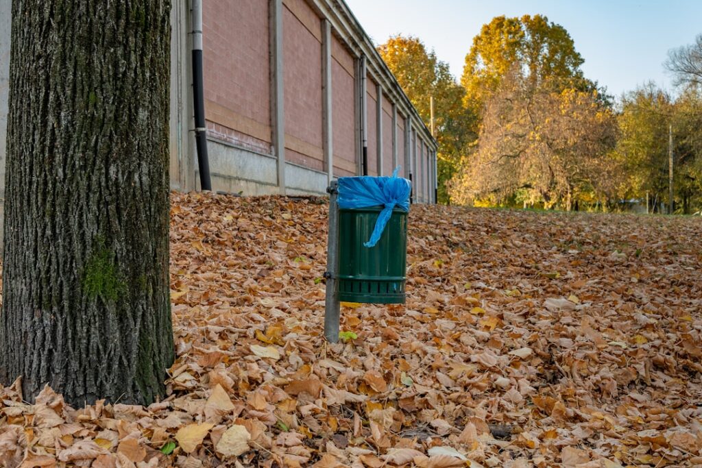 Asbestos Garage Roof Disposal: Council vs Private Services