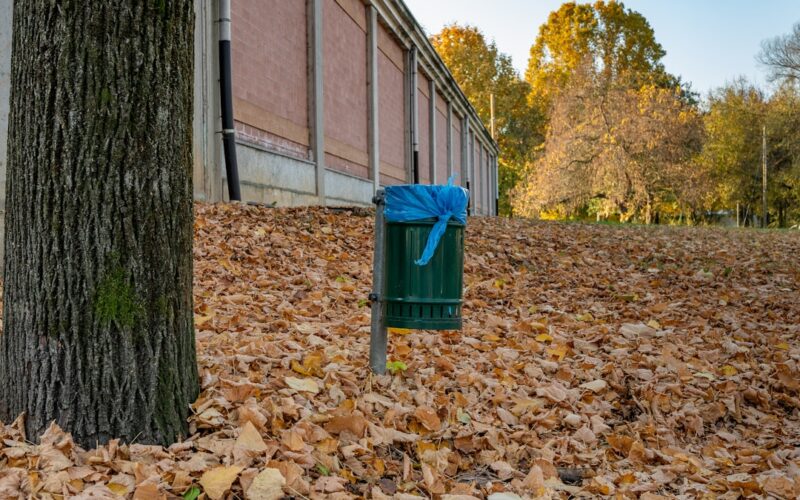 Asbestos Garage Roof Disposal: Council vs Private Services