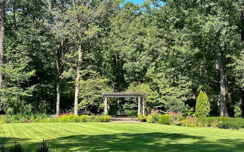 Japanese Knotweed Eradication: Legal Requirements Scotland