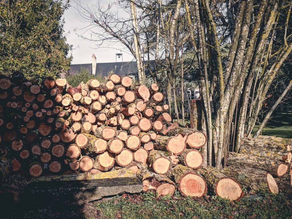 TPO Application Timeline: Emergency Storm Damage Cases