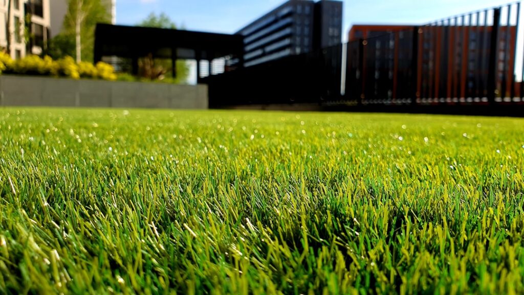Wildflower Meadow Creation: Converting UK Lawns