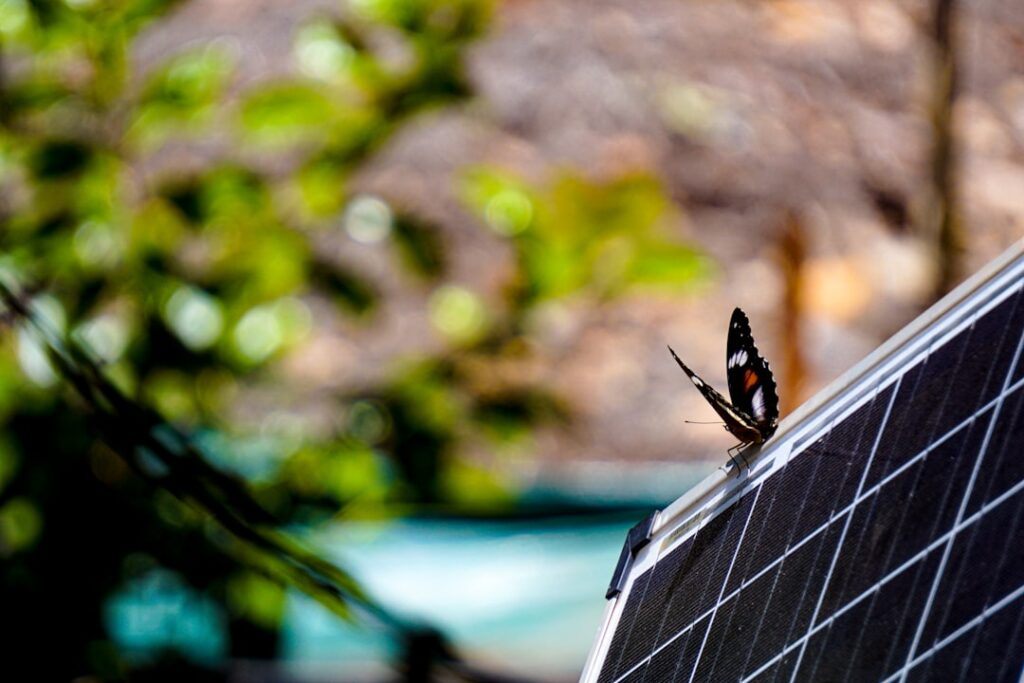 Battery Storage Systems: Octopus Agile Tariff Integration