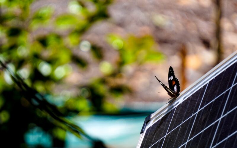 Battery Storage Systems: Octopus Agile Tariff Integration