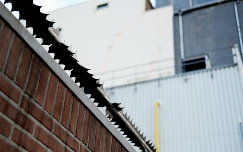 Gutter Guard Mesh Testing: Autumn Leaf Fall Performance