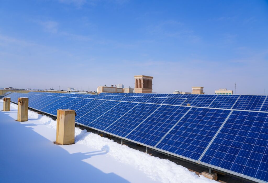 Solar Panel Bird Proofing: Coastal Seagull Solutions