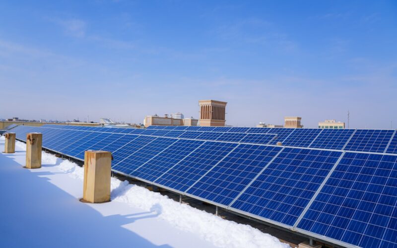 Solar Panel Bird Proofing: Coastal Seagull Solutions