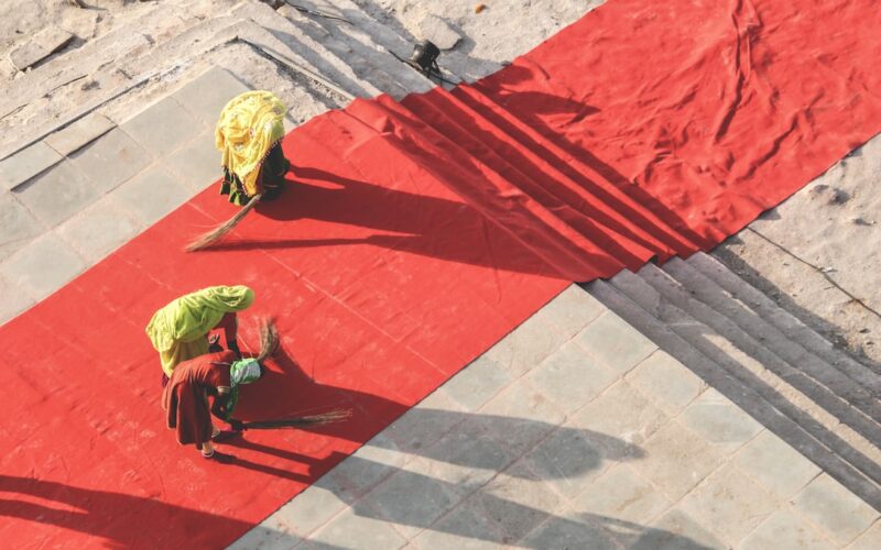 Heritage Carpet Moth Treatment: Museum-Grade Cleaning Methods