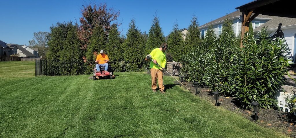 Japanese Knotweed Management: Herbicide Treatment Schedules